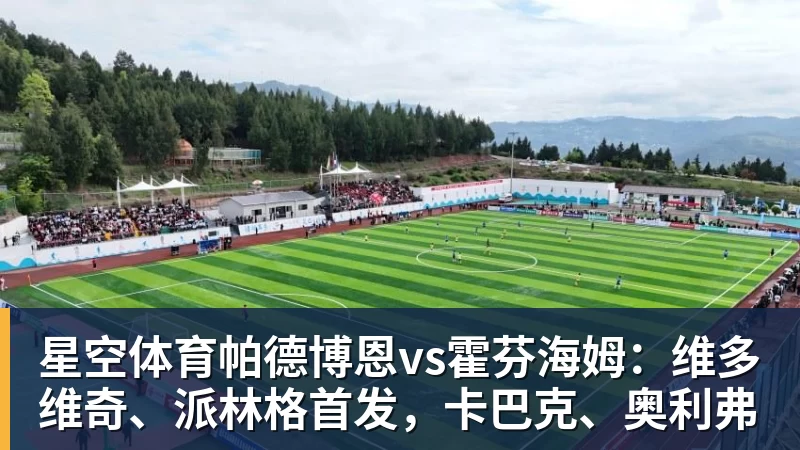 星空体育帕德博恩vs霍芬海姆：维多维奇、派林格首发，卡巴克、奥利弗